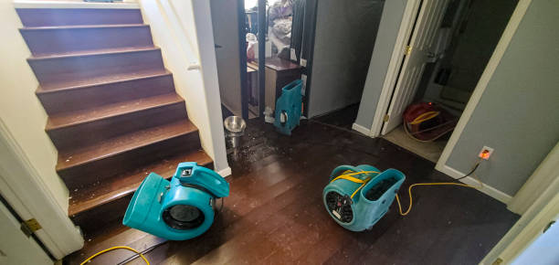 Best Sewage cleanup and water damage restoration  in Burnettown, SC