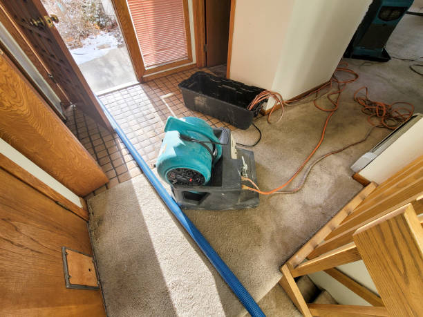 Best Water damage repair service  in Burnettown, SC