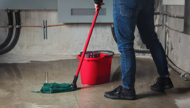 Best 24-hour water damage restoration  in Burnettown, SC