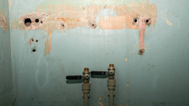 Best Residential water damage restoration  in Burnettown, SC