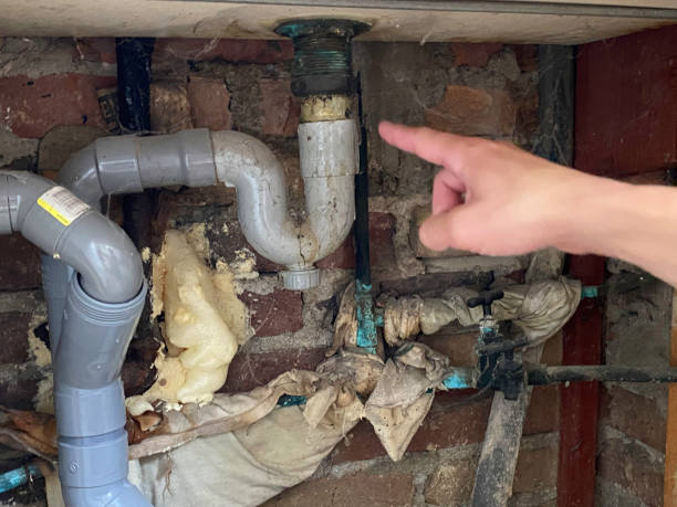 Best Mold removal after water damage  in Burnettown, SC